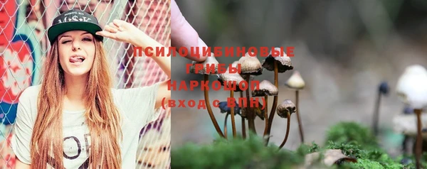 бошки Карпинск