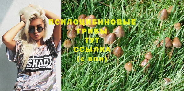 jwh Карталы