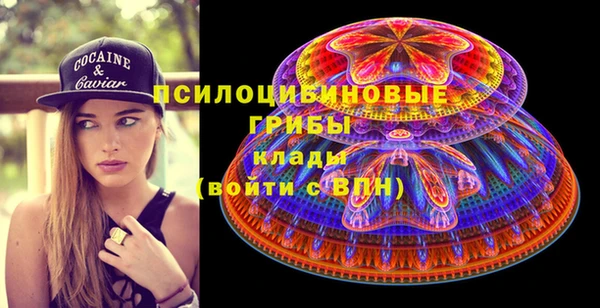 бошки Карпинск