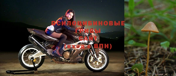 бошки Касимов